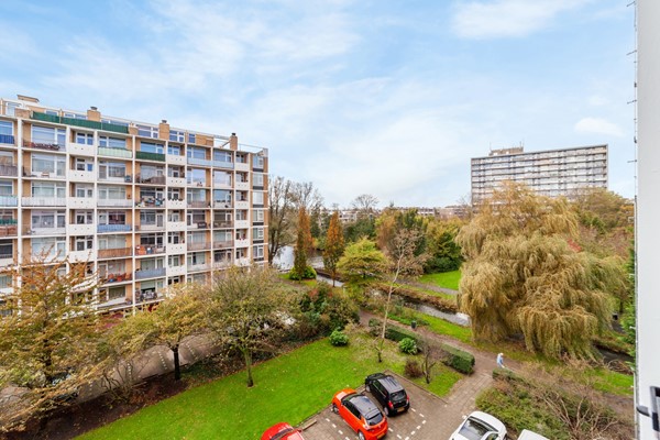 Louis Davidsstraat_331_20251027_28.jpg